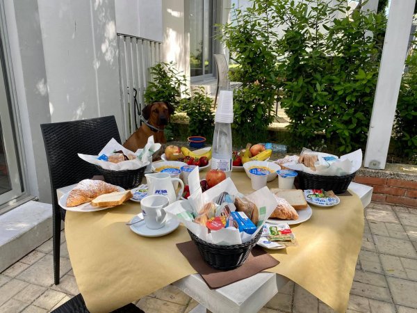 Tavola all'aperto con colazione abbondante e cane sullo sfondo.