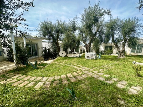 Giardino con alberi e un vialetto lastricato.