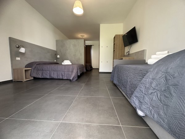 Ampia stanza con due letti e TV a parete.