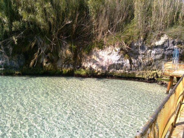 Acqua cristallina accanto a una parete rocciosa con vegetazione.