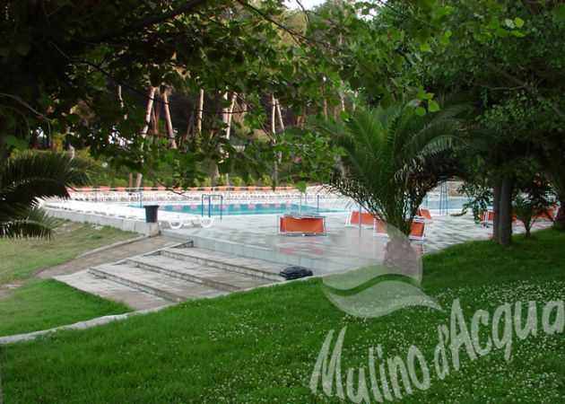 Area piscina circondata da alberi e ombrelloni bianchi.