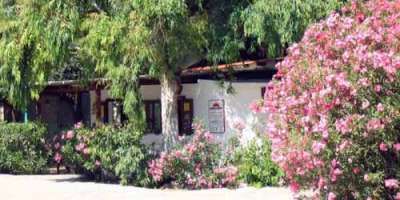 Casa bianca circondata da alberi e cespugli fioriti.