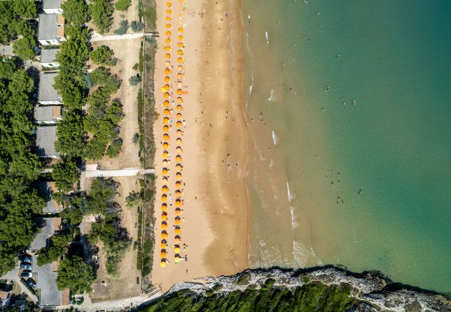 Spiaggia sabbiosa con ombrelloni gialli vista dall'alto.
