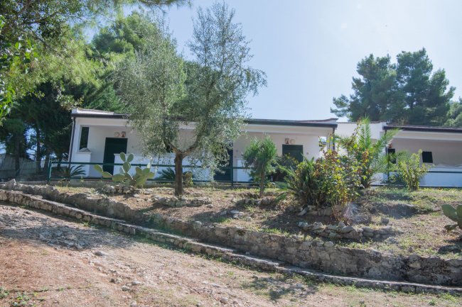 Bungalows tra gli alberi su un terreno in pendenza.