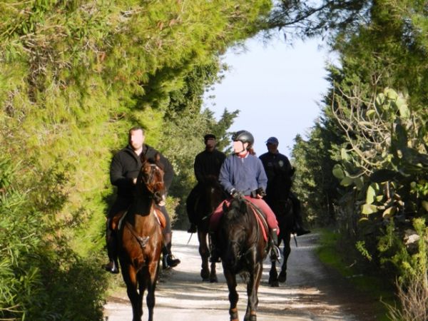 Persone a cavallo su un sentiero circondato da alberi verdi.