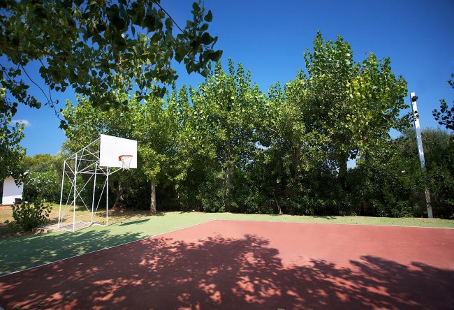 Campo da basket all'aperto circondato da alberi.