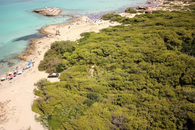 Spiaggia sabbiosa con mare turchese e vegetazione fitta.