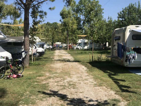Strada tra camper con alberi e biciclette.