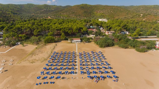 Vista aerea di una spiaggia con file di ombrelloni blu.