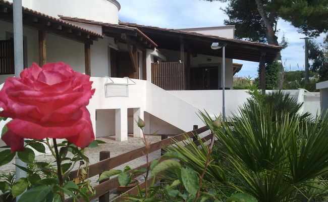 Primo piano di una rosa davanti a una casa bianca con tetto di legno.