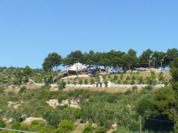 Una collina alberata con una struttura bianca in cima, circondata da vegetazione.