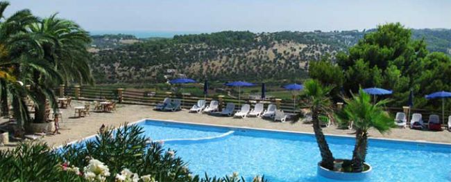 Vista panoramica di collina e piscina circondata da palme.
