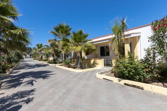 Viale con palme e bungalow.