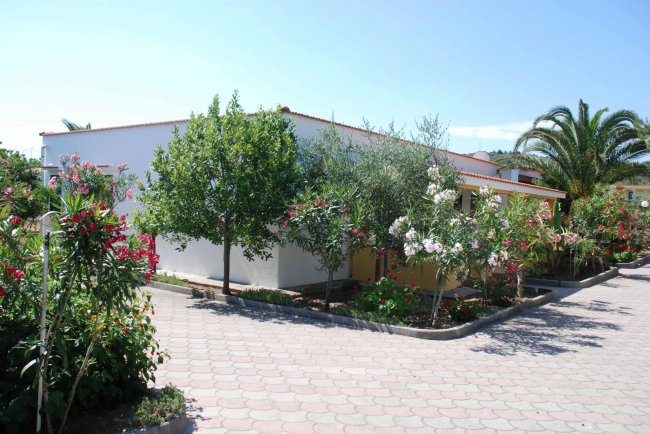 Edificio bianco circondato da fiori e alberi.