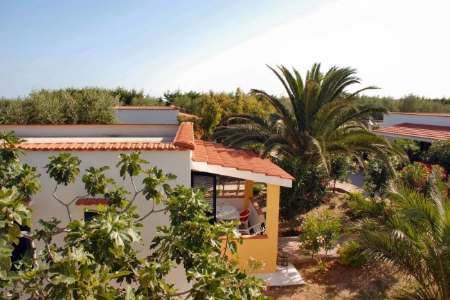 Casa con tetto rosso tra palme.