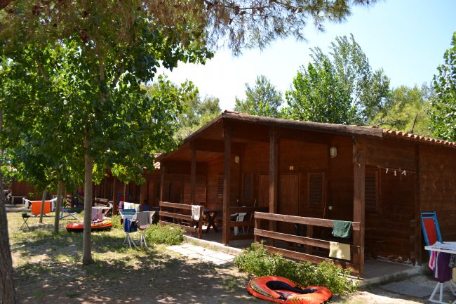 Bungalow in legno immersi nel verde.