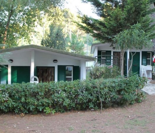 Bungalow bianchi circondati da vegetazione verde.