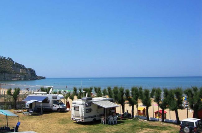 Camper e palme vicino al mare.