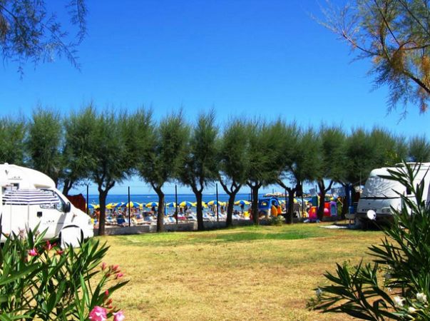 Campeggio con alberi e vista mare.